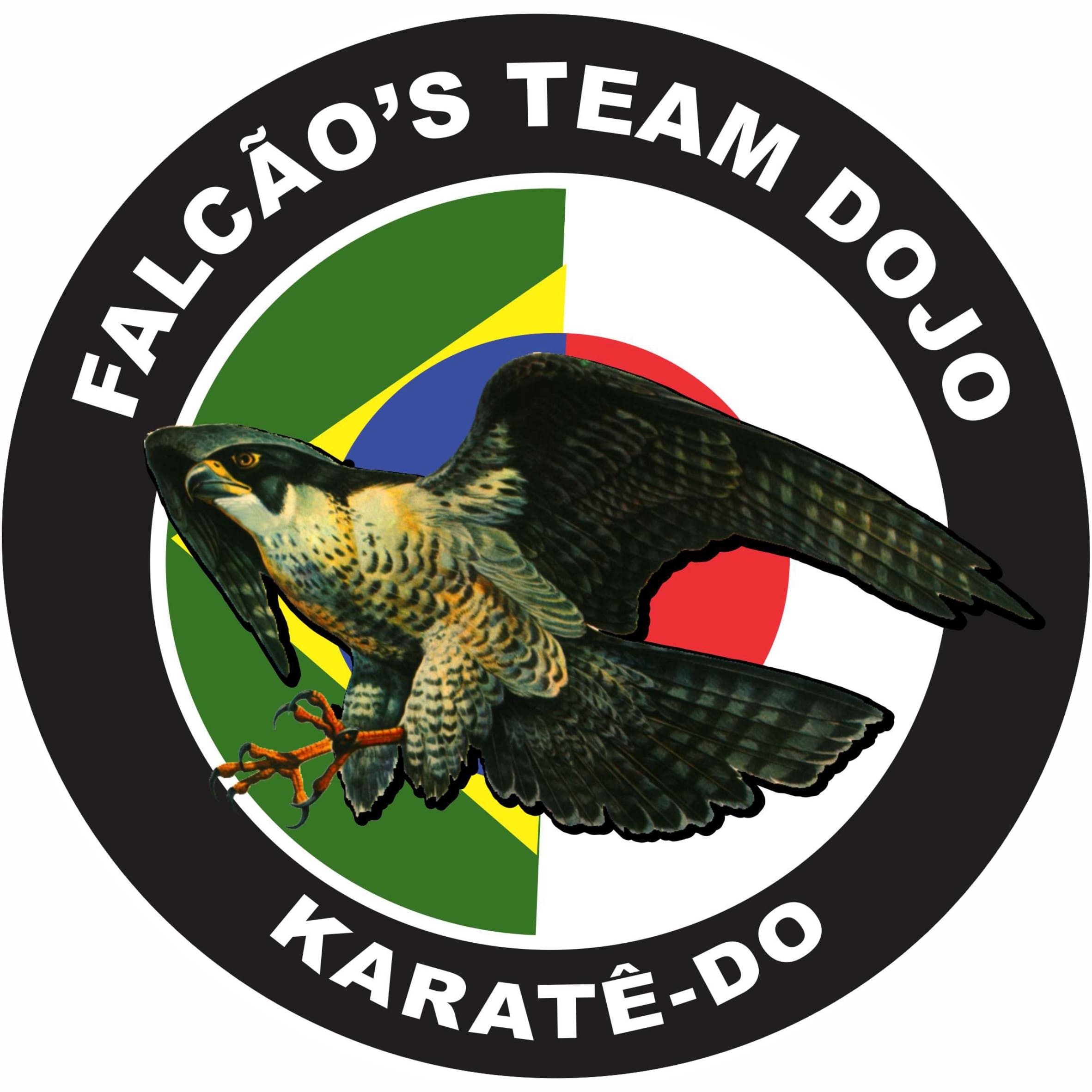 Falcão's Team Dojo